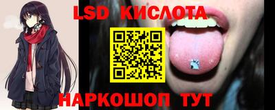 гашик Сланцы