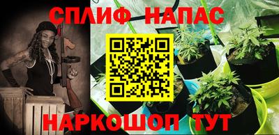 гашик Сланцы