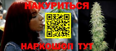 гашик Сланцы