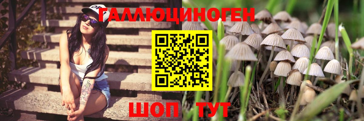 Павлово  Галлюциногенные грибы мицелий  Вход с VPN  Псилоцибиновые грибы MAGIC MUSHROOMS 