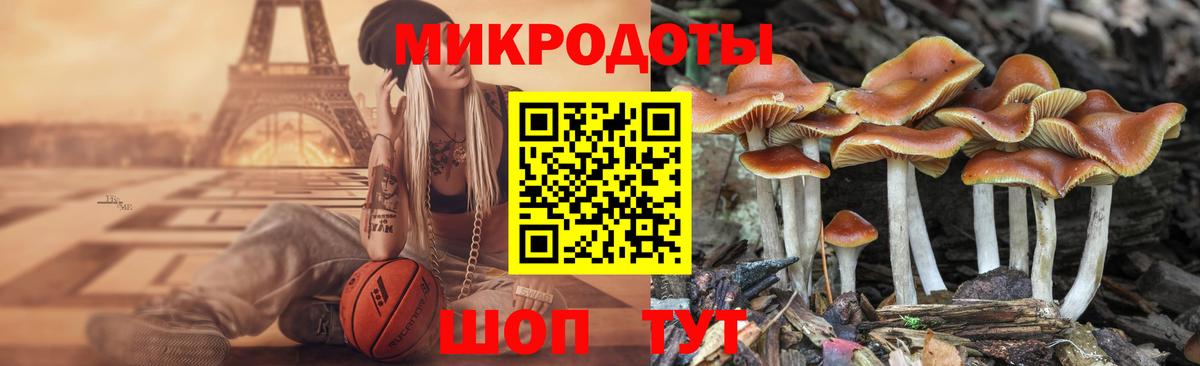 Псилоцибиновые грибы ЛСД Павлово