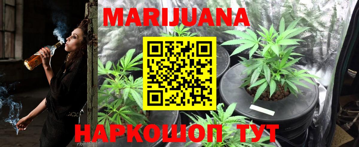 МАРИХУАНА планчик Павлово